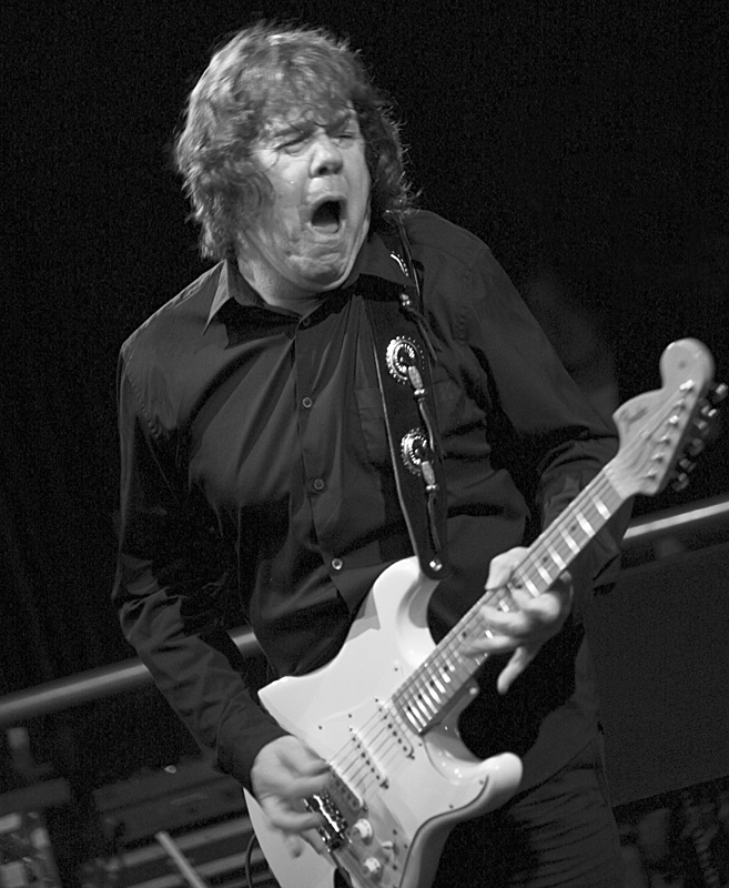 guitars_fender_strat_reversed