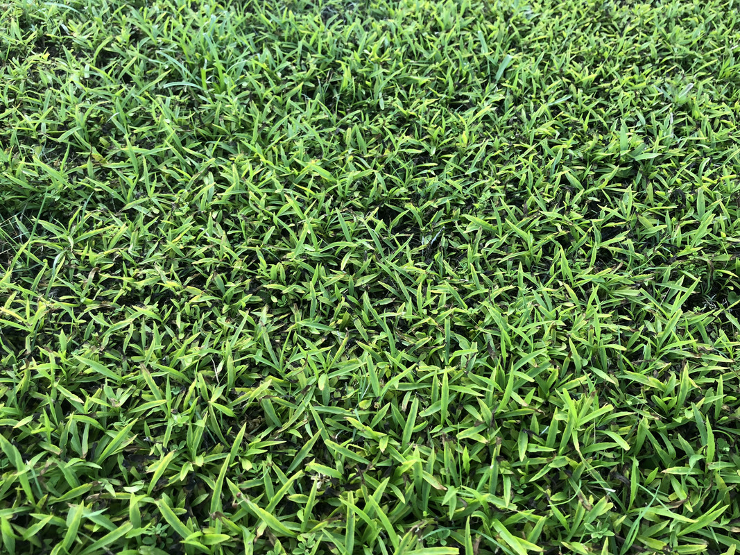 3DF2CFD5-9BE6-4FE0-A7FD-880F5BD049D5