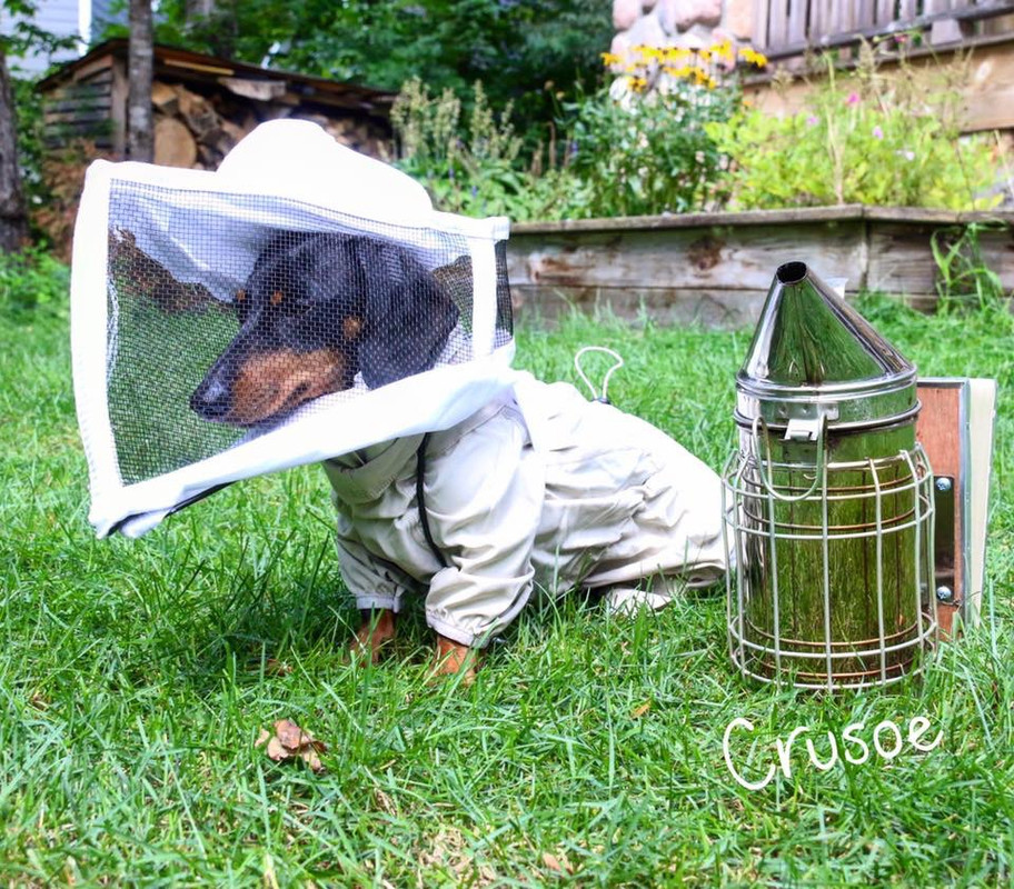 784B987D-3D7B-4A6E-A314-D82063B27BDB