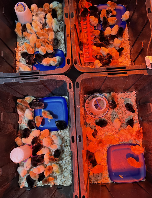 87AB06D8-EE5D-49BD-BEC4-37BD963DAEB9