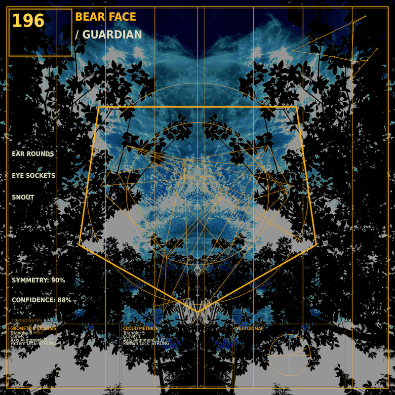 Bear face