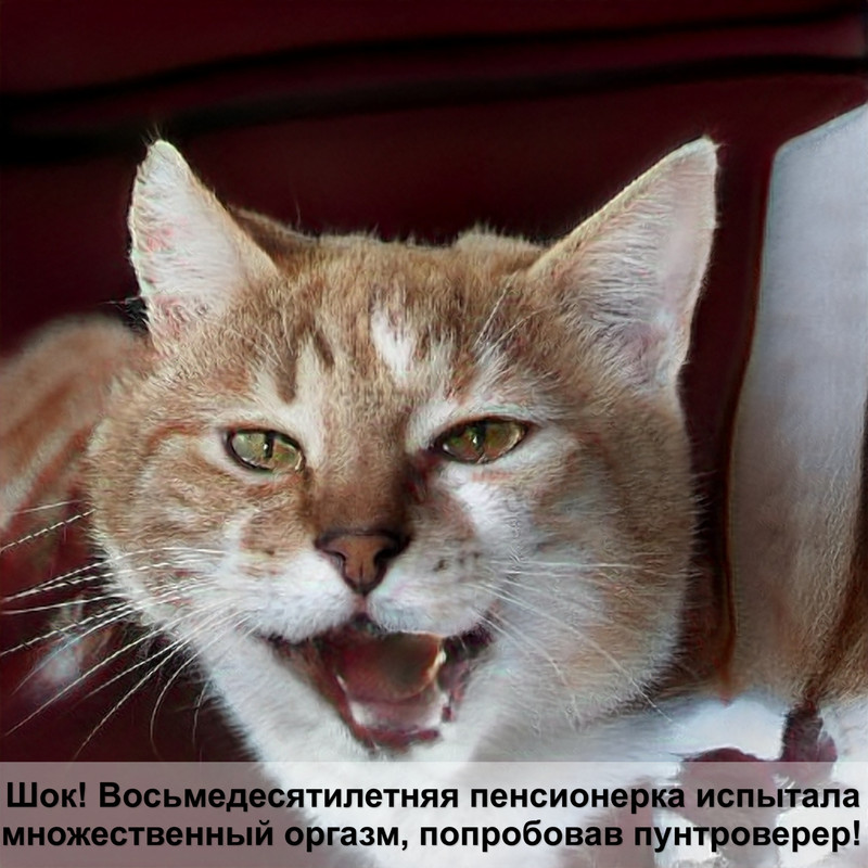 как правильно нарисовать кошку