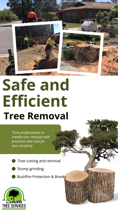 Safe and Efficient Tree Removal jpg — Postimages