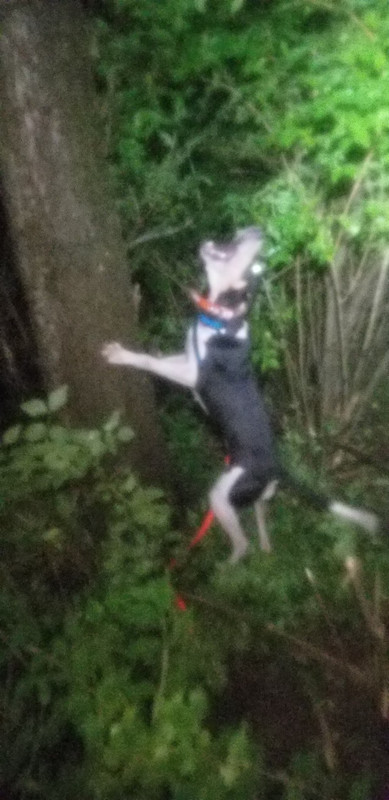 296BF727-98D2-4AA5-A014-DDDF9446E094