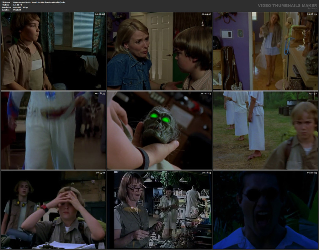 Goosebumps S04E01 How I Got My Shrunken Head (1).mkv