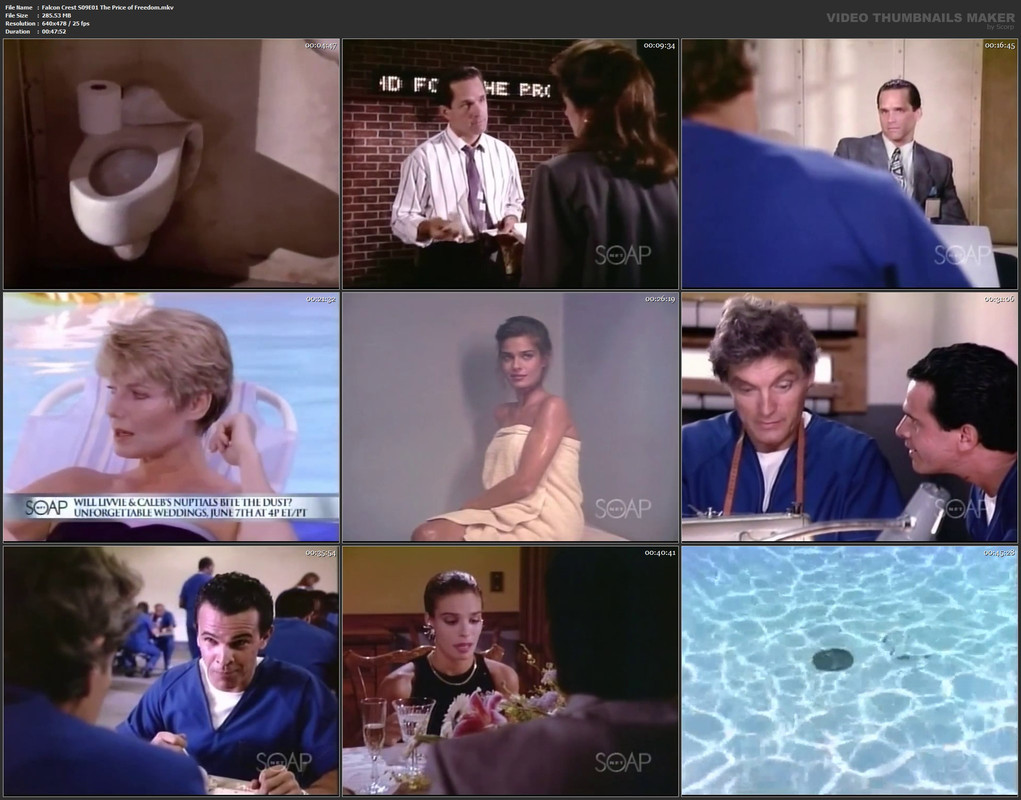 Falcon Crest S09E01 The Price of Freedom.mkv