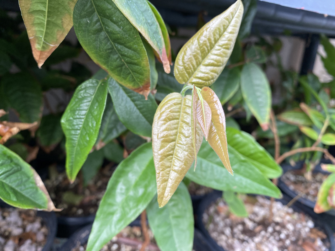 3664937F-CB2E-4197-A471-E30248CDE3A6