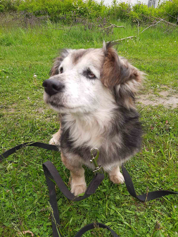 50EB429B-930B-473E-9241-D741A8DD60C8