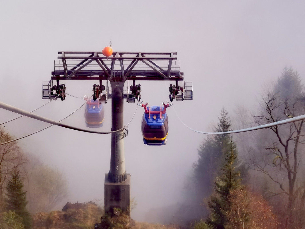 IMG_20221025_105111_edit_185506077605546