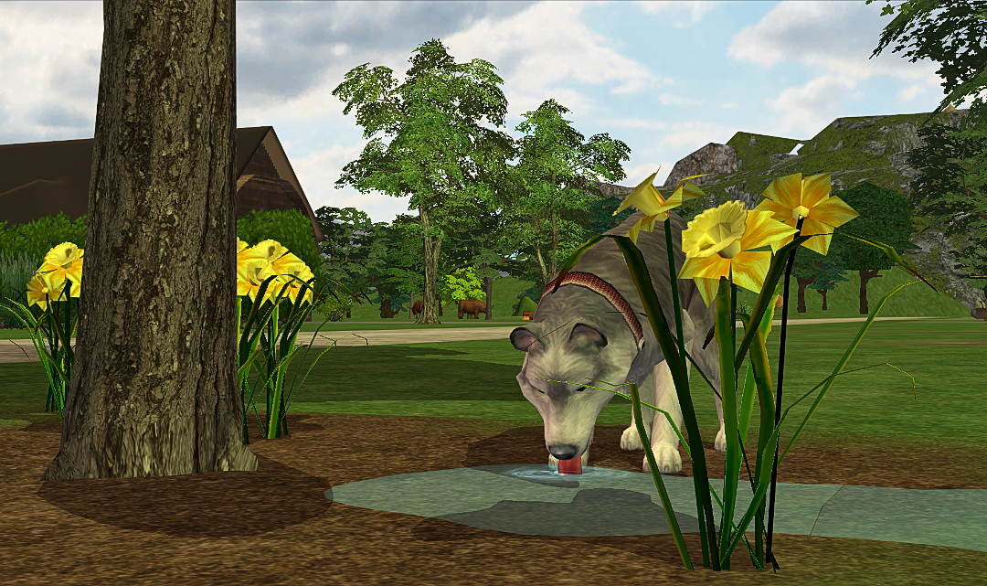 screenshot-2026-06-11-21-19