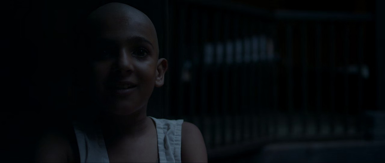 Tumbbad-2018-AMZN-WEBRip-Hindi-720p-10bit-HEVC-AAC-5-1-English-Hindi-mkv-0003