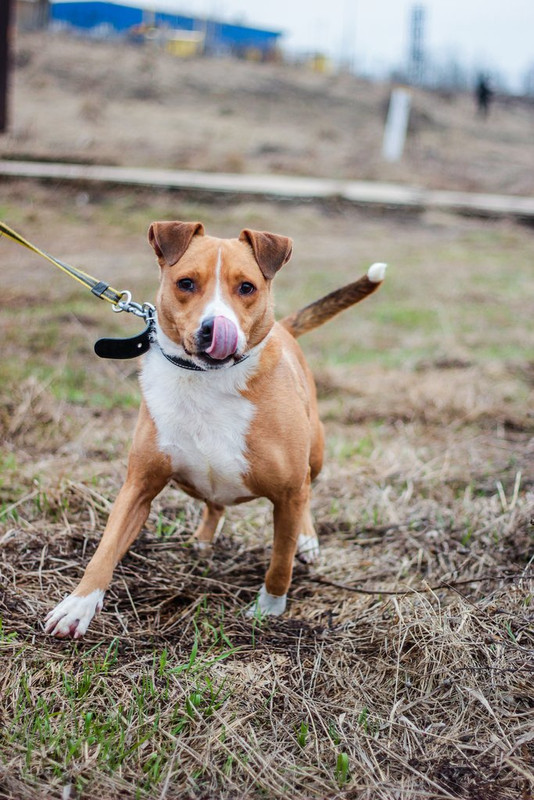 без имени-1191