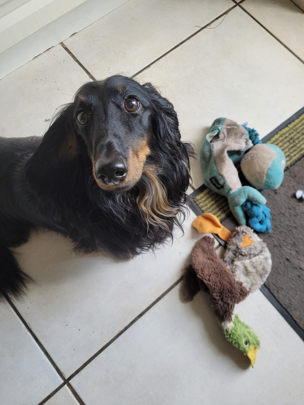 [Image: 20221030-121034.jpg]