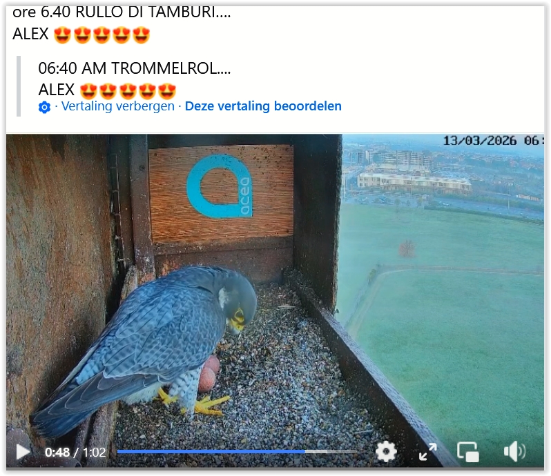 Screen Shot 03 13 26 at 08 58 AM 001