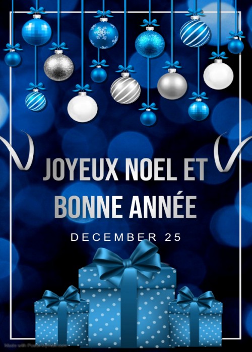 [Image: noel-et-bonne-annee-2023-Image-Gif.jpg]
