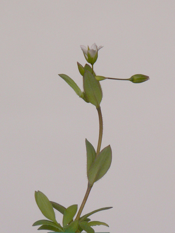 P1110939-0... (1024)