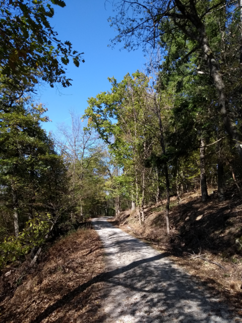 Taunussteig 9. Oktober 2022