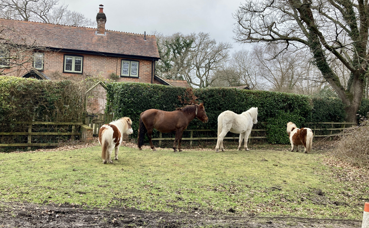 6EF8C409-FB36-4EE7-9175-A6F880236D99