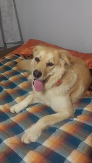 Heidi Ramchunder (1)