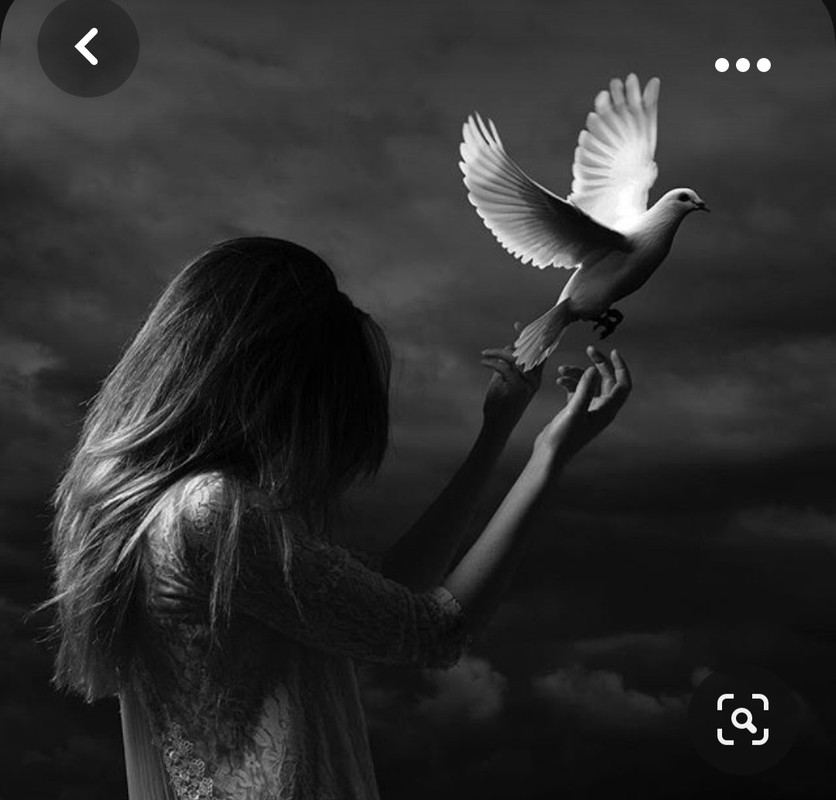 Screenshot_20231030_212235_Pinterest