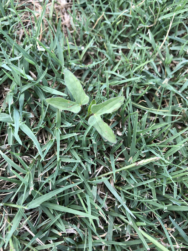 9B5809AC-22C9-49E9-87CC-9268C942D2C3