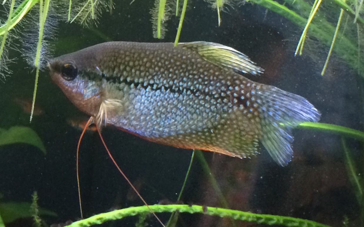 DA65D65C-F789-4F72-93B1-C744D1E218BF