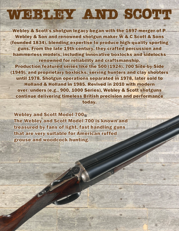 [Linked Image from i.postimg.cc]