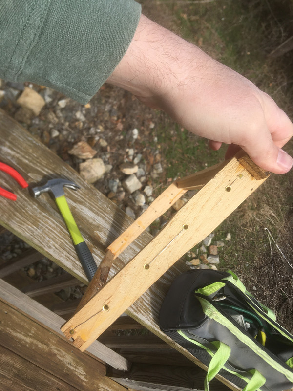 7-5B2A7F43-DB1C-4ADF-86FF-9EDA84501387