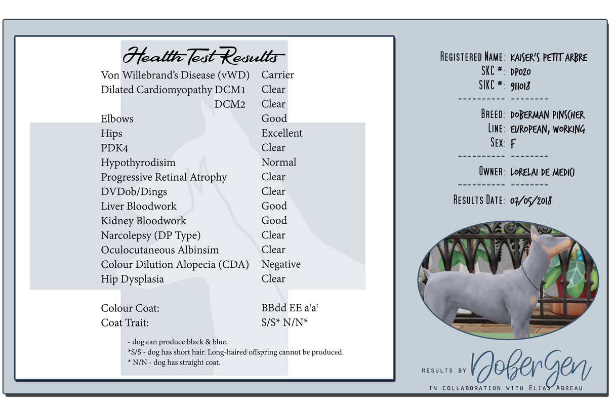 Breed Stability Test Sims International Kennel Club