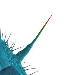 Peter Gabriel - And I'll Scratch Yours (2013) .mp3 - 320 kbps