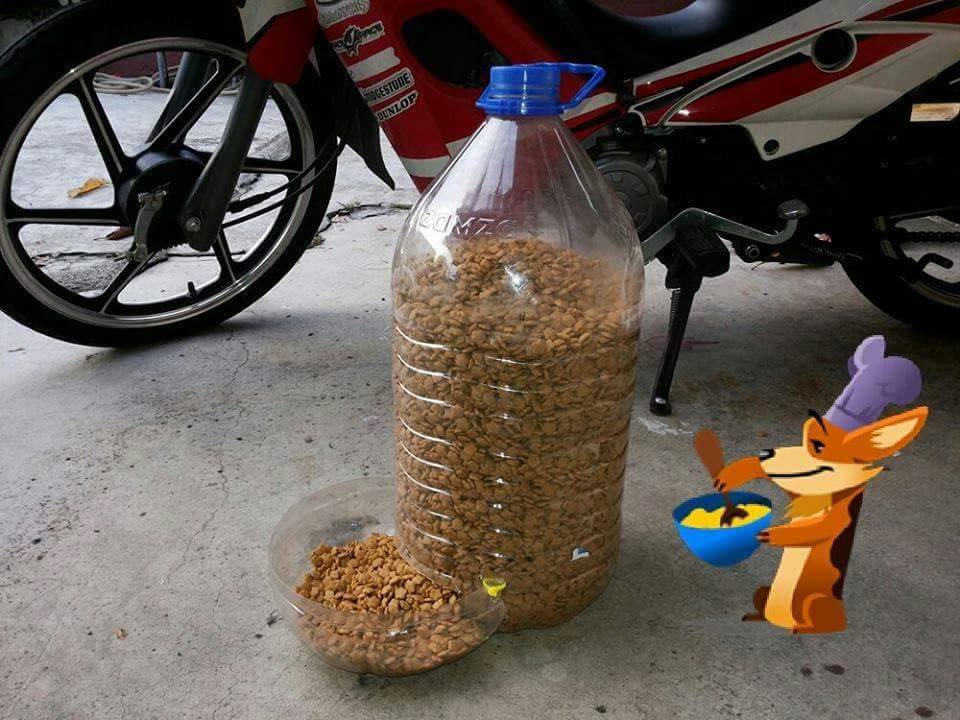 DIY Cat Feeder Untuk Kucing Jalanan, Cara Mudah Nak Bagi Makan Tak