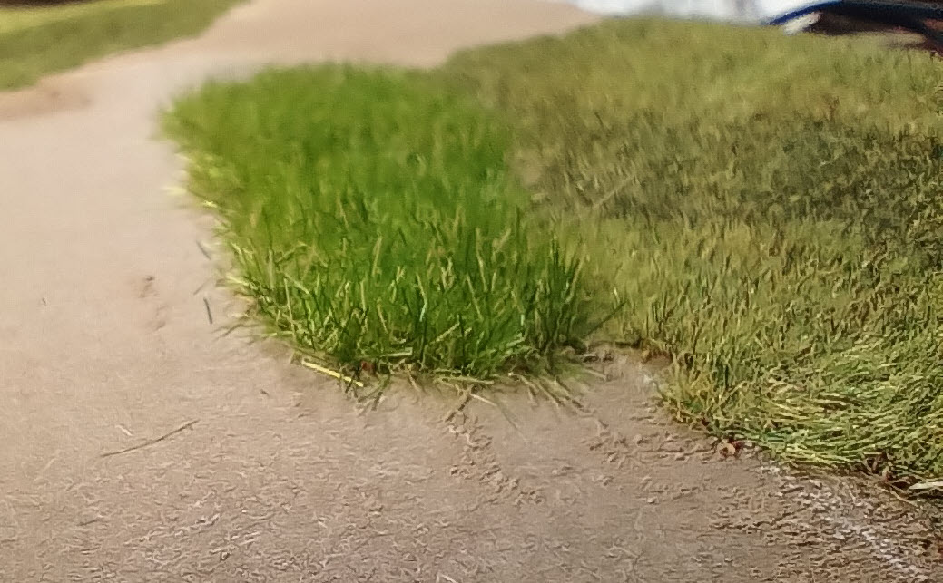 IMG_20250205_224748237