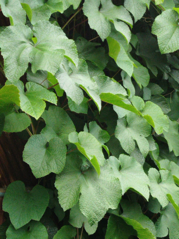 7a9c1dc7-1c81-469e-852f-7b9053055111