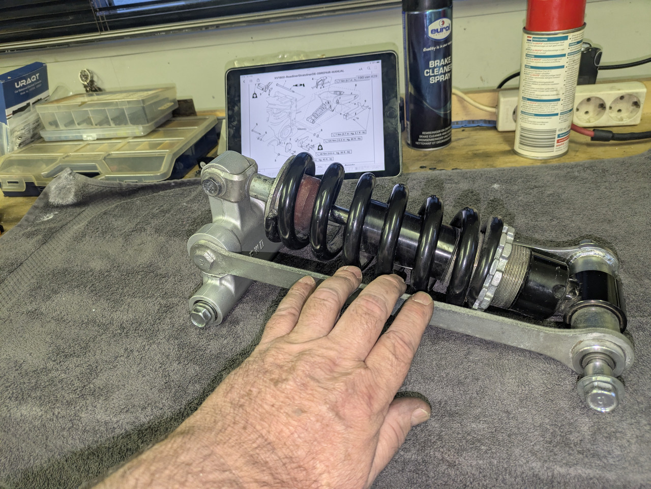 PXL 20260201 161037636