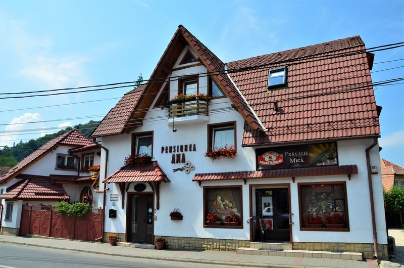 Rumanía y sus pueblos-2015 - Blogs de Rumania - Bran-7-8-2015 (3)