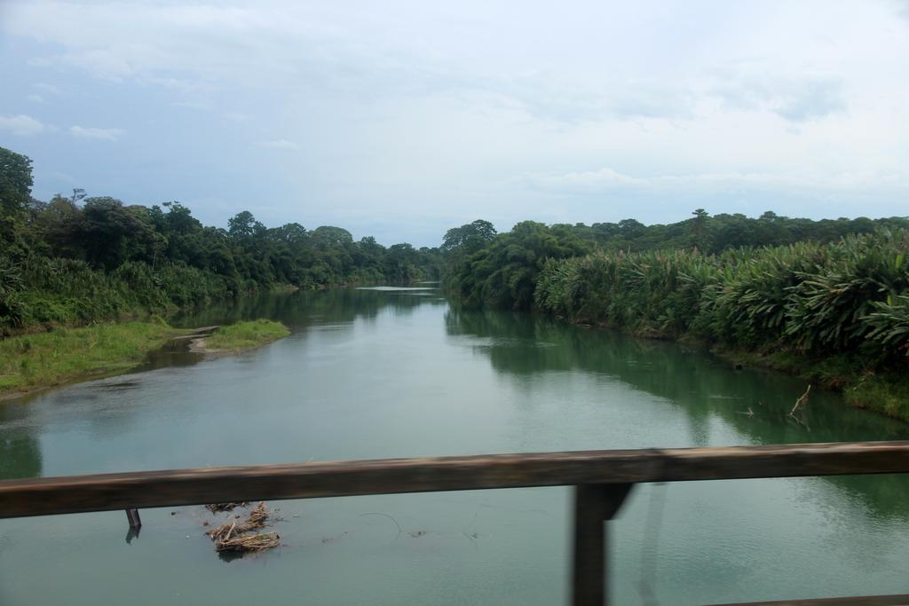 DE TORTUGAS Y PEREZOSOS. COSTA RICA 2019 - Blogs de Costa Rica - DIA 7: ARENAL. CATARATA FORTUNA (4)