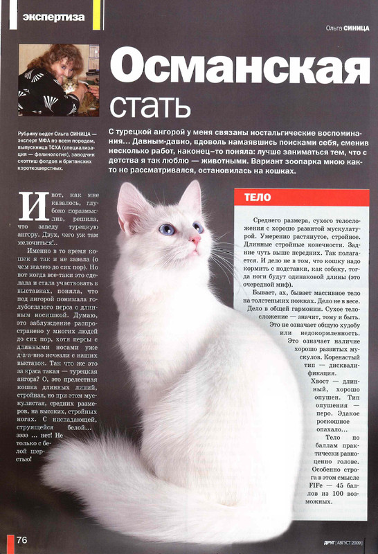Друг кошек № 8 2009-71