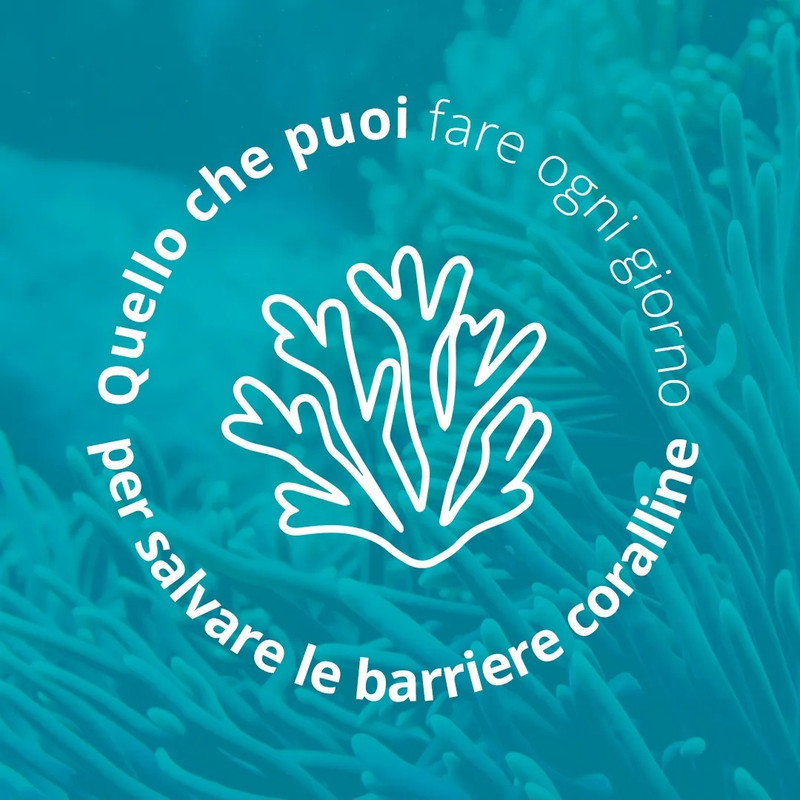 279035149_10159643338946327_923131608540845212_n