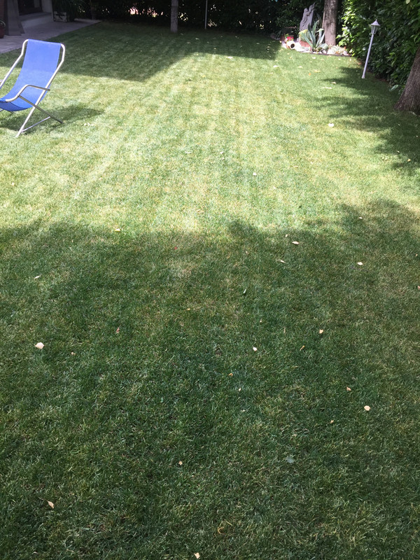 A6E4FCB6-CF19-4842-826D-D8A9DCA5F6DB