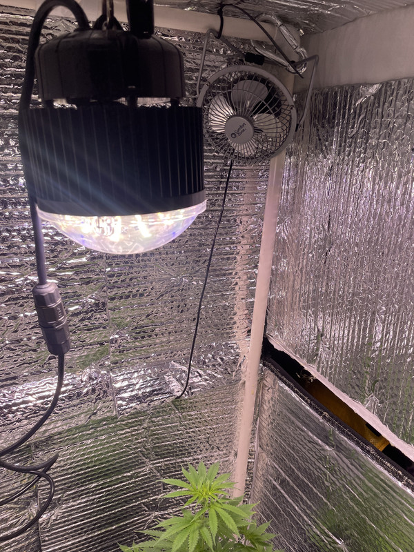 84E306BD-8EF4-4AE2-8DDD-F1C6EB10B2E3