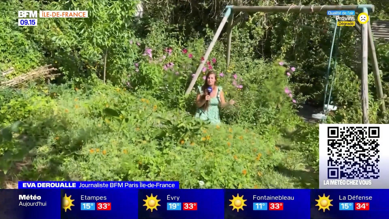 vlc-record-2022-08-13-16h22m53s-08.13 - 07.55.51-1.m4v-.mp4_snapshot_00.13_[2022.08.13_16.49.27]