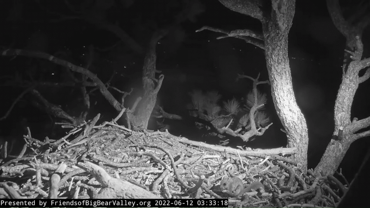 Webp.net-gifmaker (3)