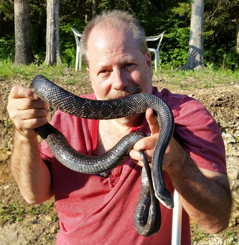 2016-6-10 Me   Western Rat Snake (2)