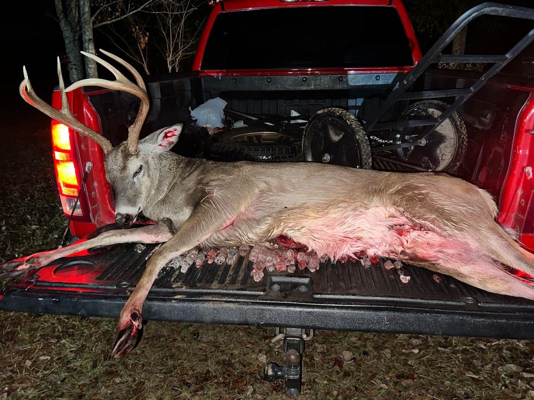 Messenger_creation_1E8DCCAB-D82E-4AEC-AB6D-78E8183F6379