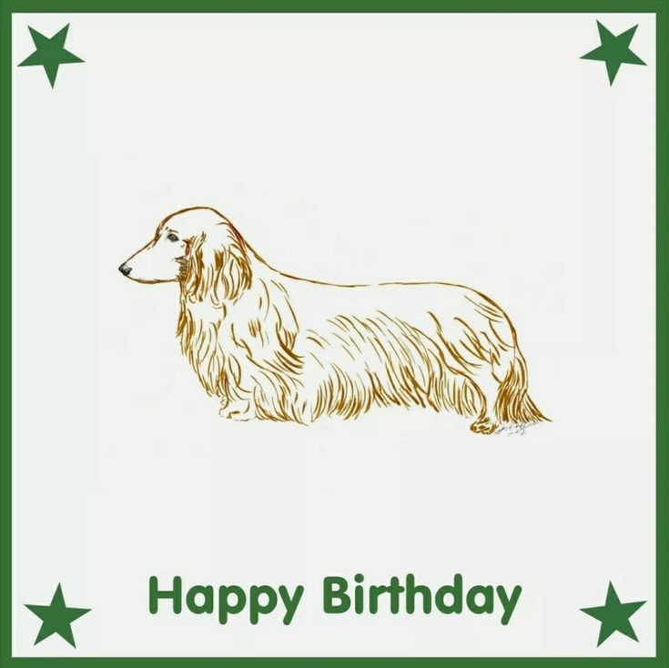 [Image: d4bf4521aff849094ec8780af45fef9d.jpg]