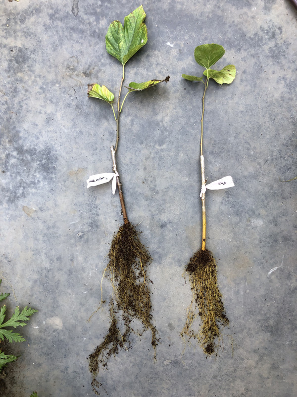 9F7F3052-2FB0-4FA5-9AA4-4B6F6312EC4E