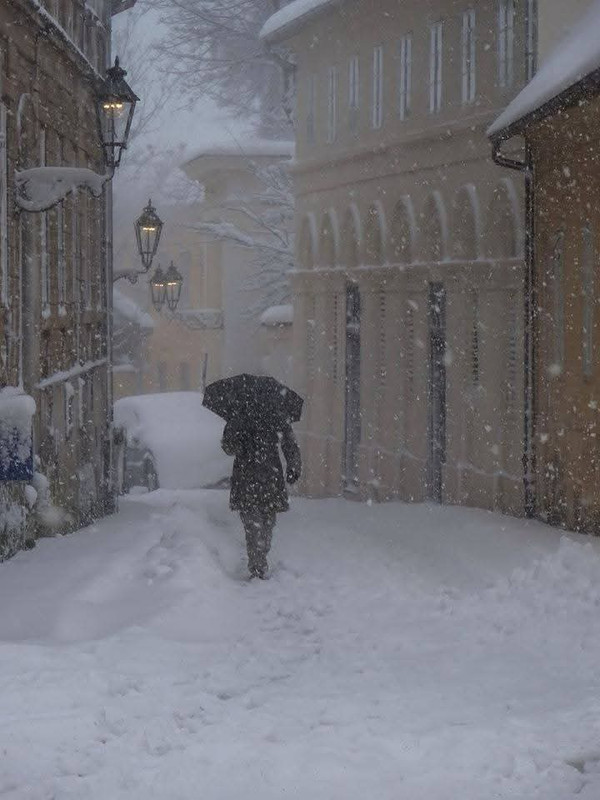 FB-IMG-1736033590810