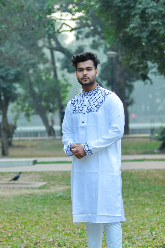 Cotton Printed Panjabi