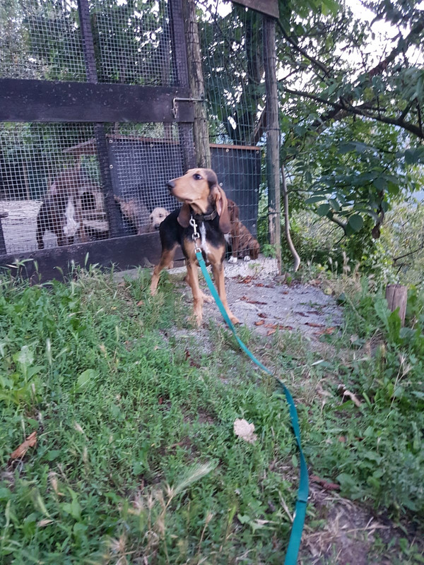 IMG-20180725-WA0005[1]