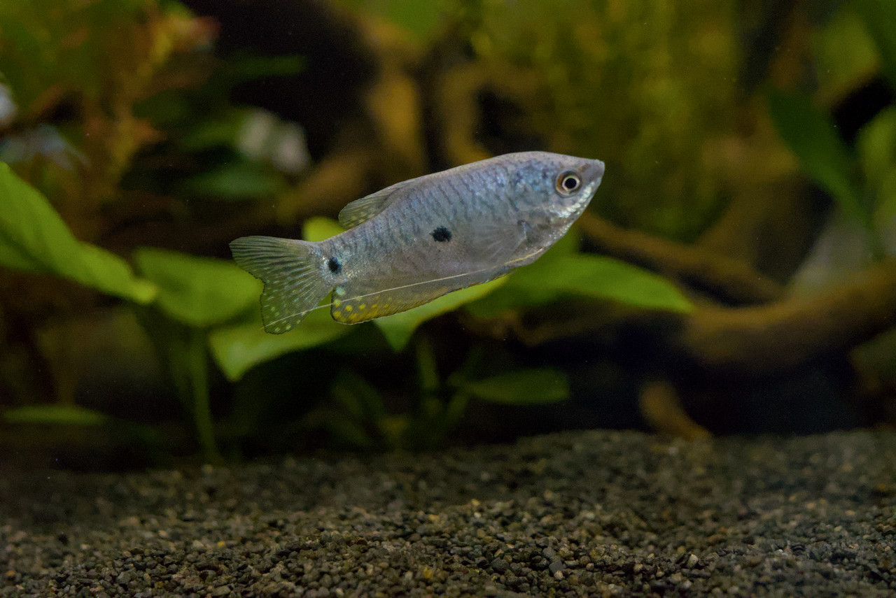 DSC05800